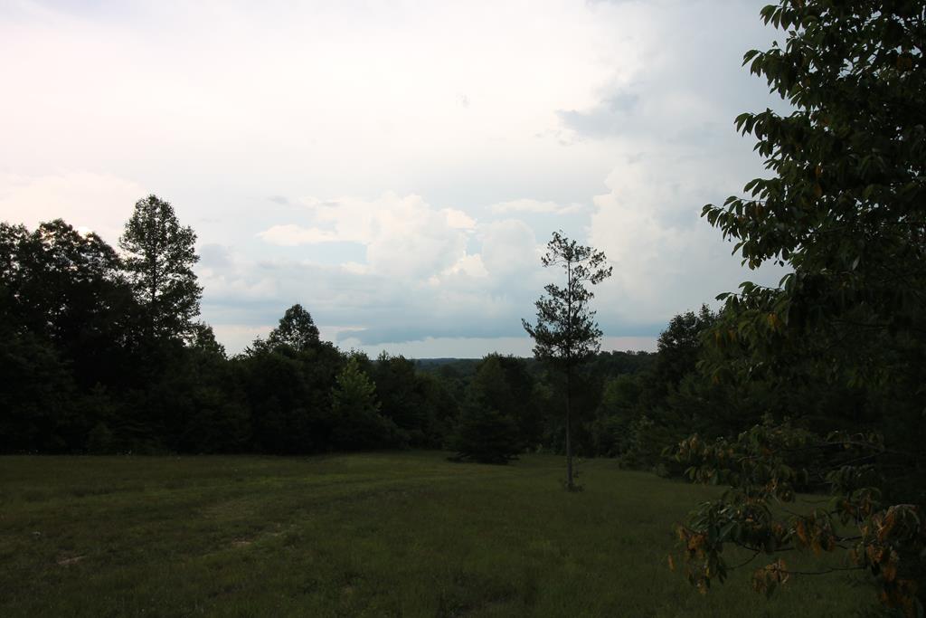 Crymes Road, Unit 13A Victoria, VA 23974 - Photo 6 of 9 Gallery Image 6
