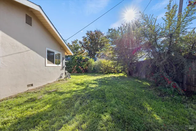a backyard of a house with plants and large trees