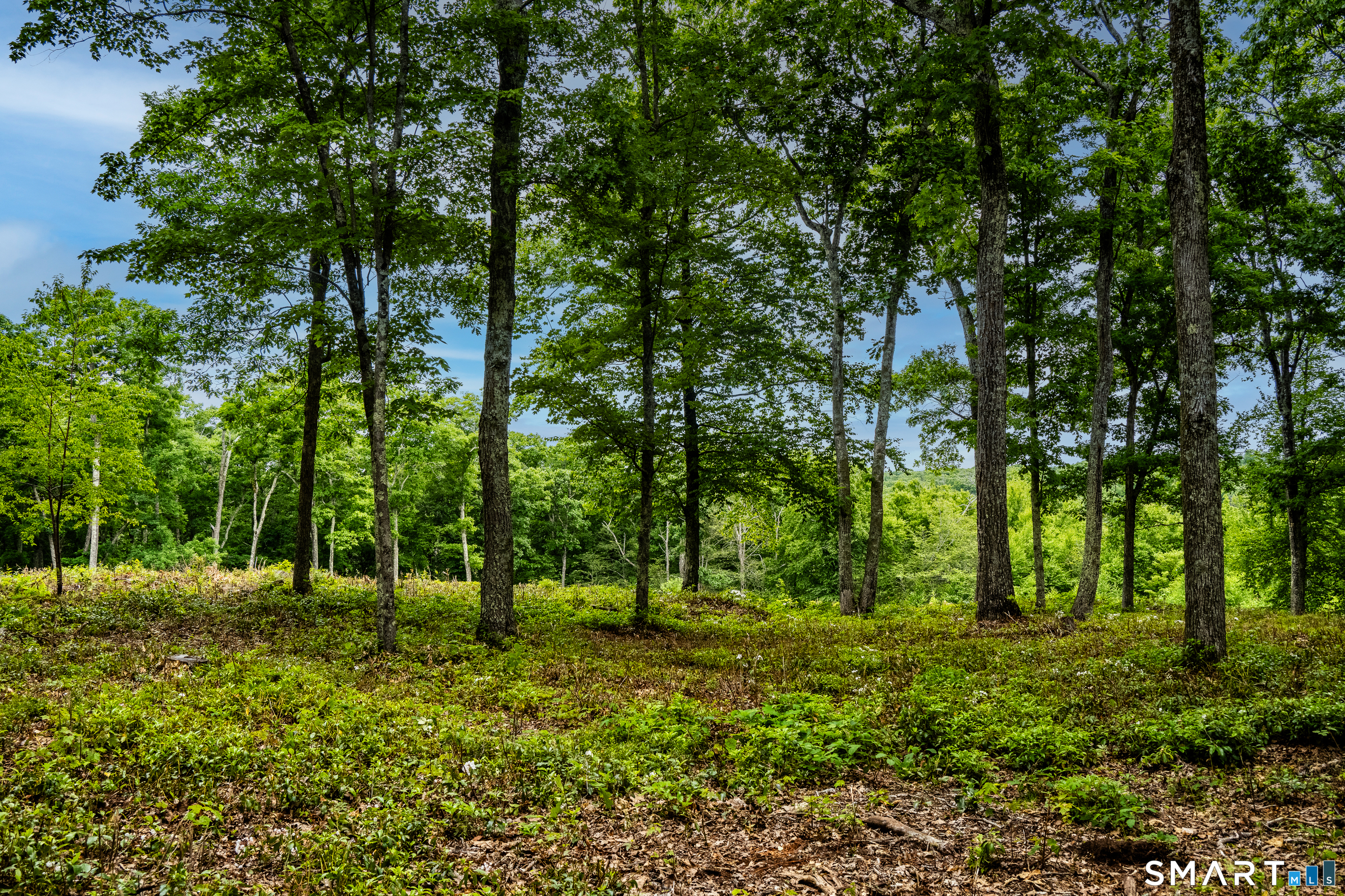 Westwoods Road, Unit 2 Sharon, CT 06069 - Photo 23 of 27 Gallery Image 23