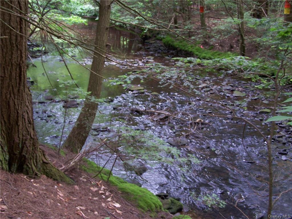 Hasbrouck Country Club Road Fallsburg, NY 12733 - Photo 1 of 15