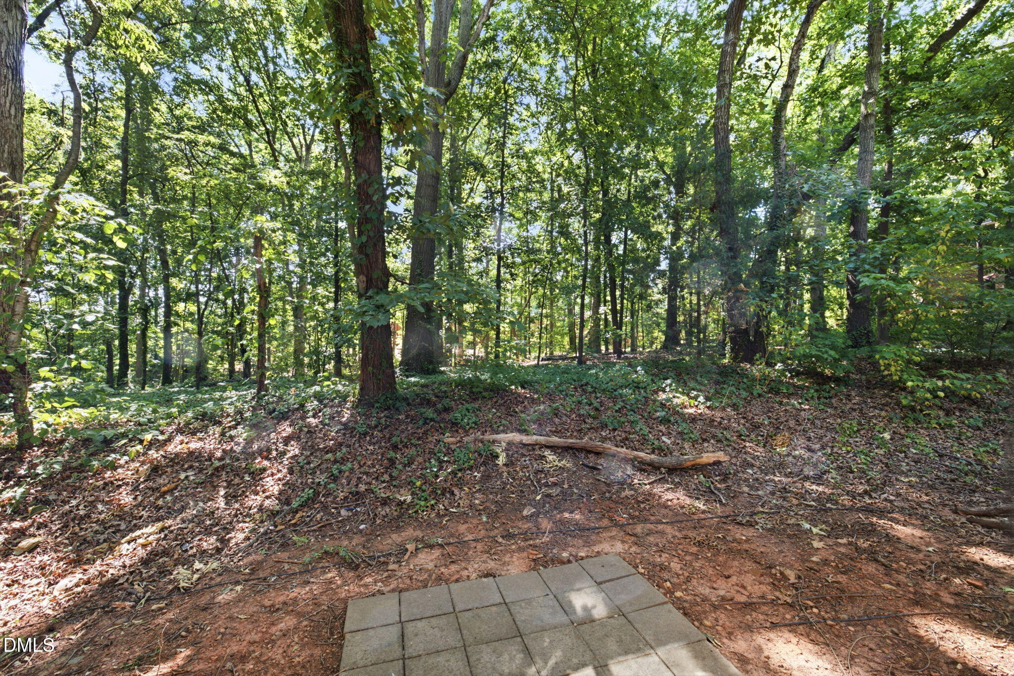 1133 Schaub Drive Raleigh, NC 27606 - Photo 30 of 34
