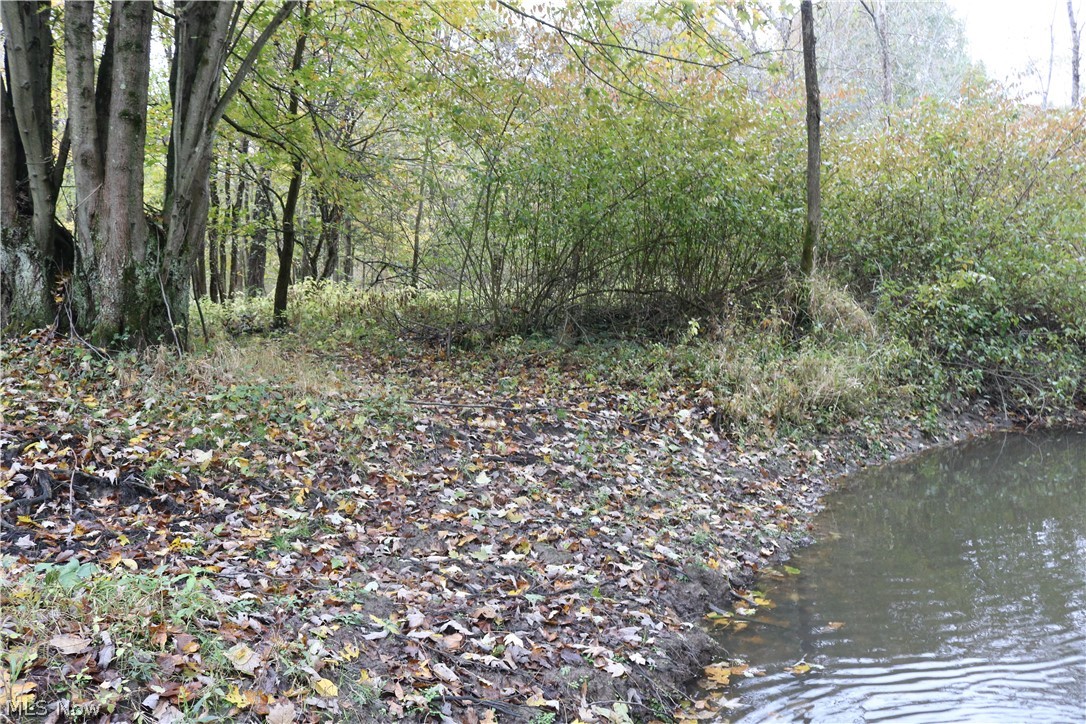North Richmond Road Pierpont, OH 44082 - Photo 6 of 34 Gallery Image 6