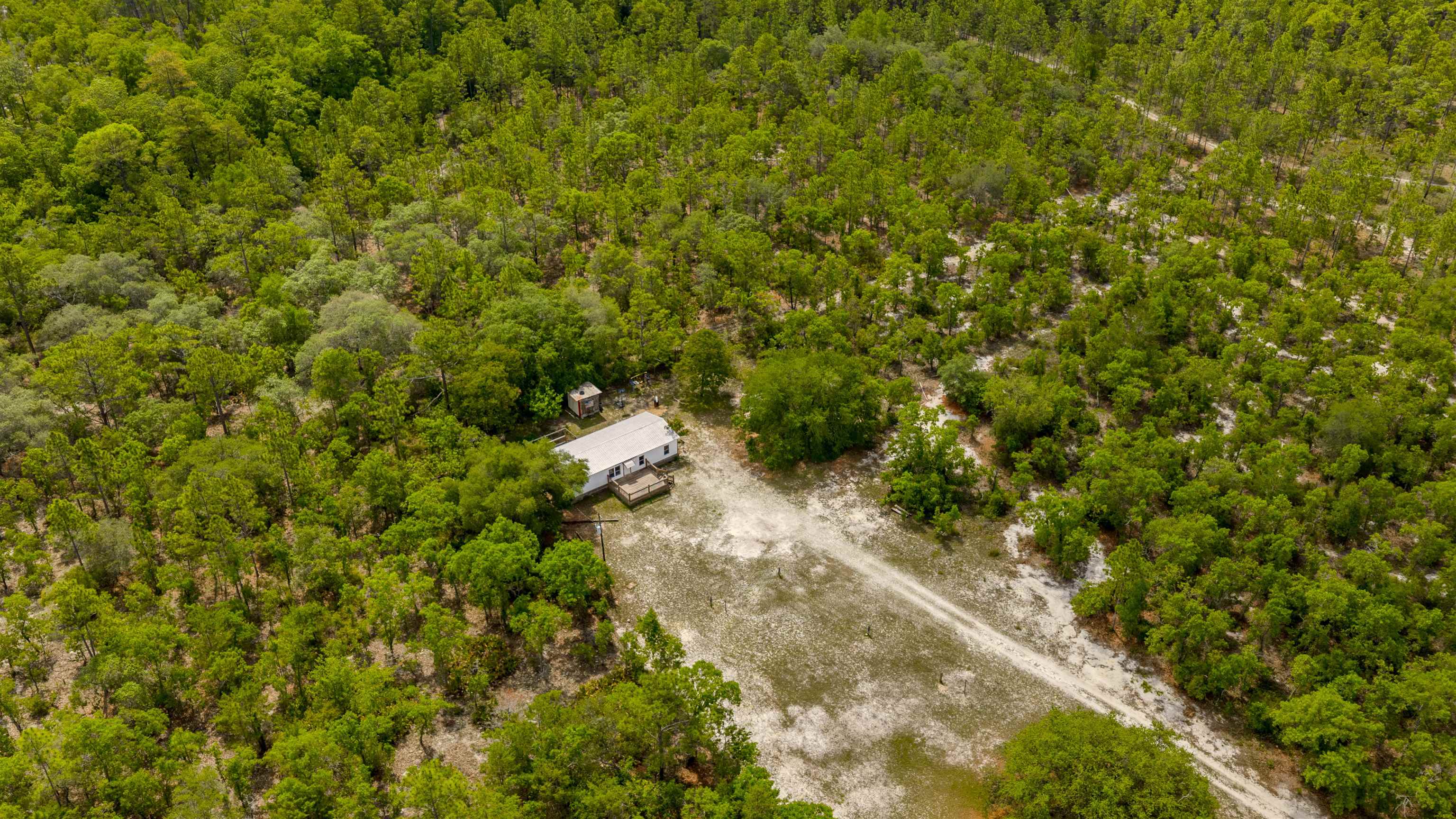 989 Lakeview Point Road Quincy, FL 32351 - Photo 34 of 40