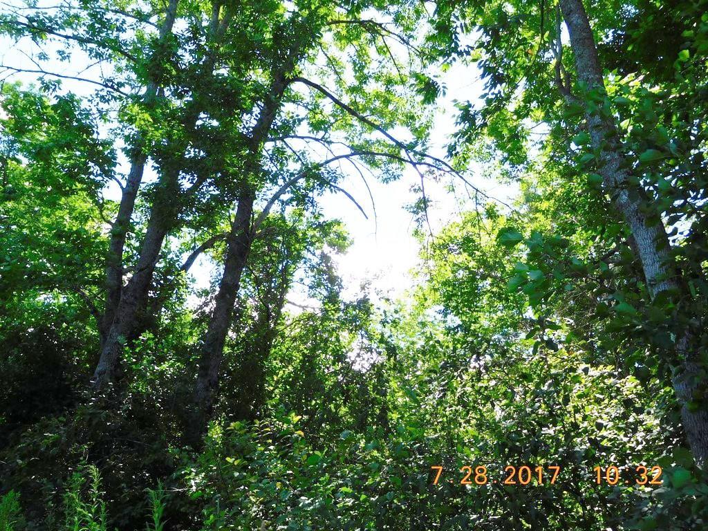 82 Sawyer Road Levant, ME 04456 - Photo 2 of 6 Photo