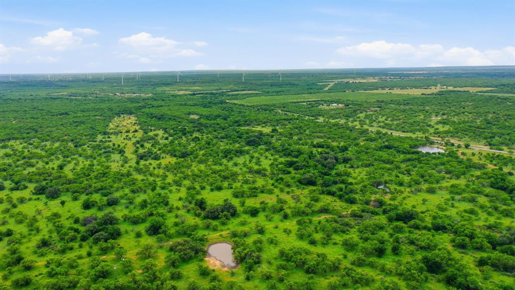 3 Fm 880 Moran, TX 76464 - Photo 3 of 9