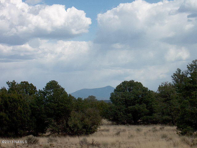4158 East Valencia Road Williams, AZ 86046 - Photo 1 of 6 Heavily treed