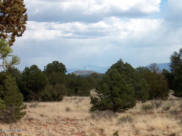 4158 East Valencia Road Williams, AZ 86046 - Photo 2 of 6 IM004068