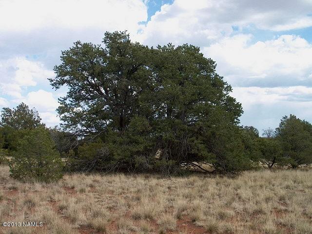 4158 East Valencia Road Williams, AZ 86046 - Photo 3 of 6 IM004070