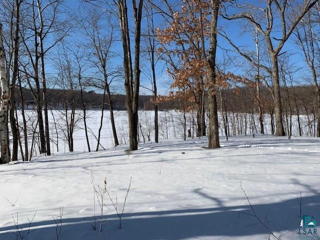 Lot A Lot A Johnson Road Sarona, WI 54870 - Photo 3 of 10 Gallery Image 3