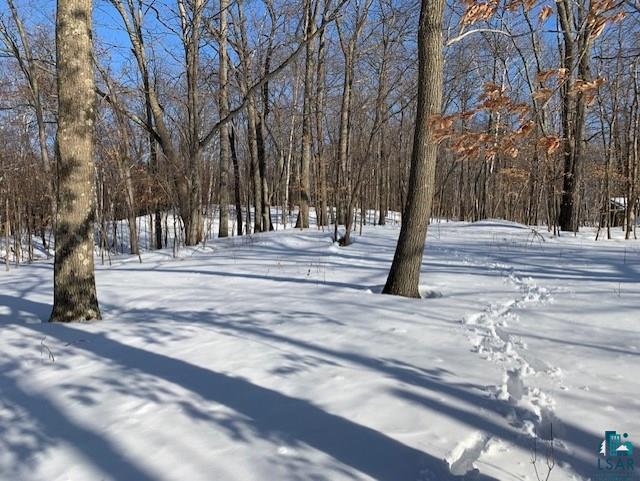 Lot A Lot A Johnson Road Sarona, WI 54870 - Photo 4 of 10 Gallery Image 4