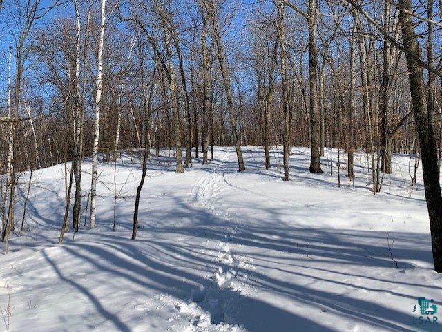 Lot A Lot A Johnson Road Sarona, WI 54870 - Photo 5 of 10 Gallery Image 5