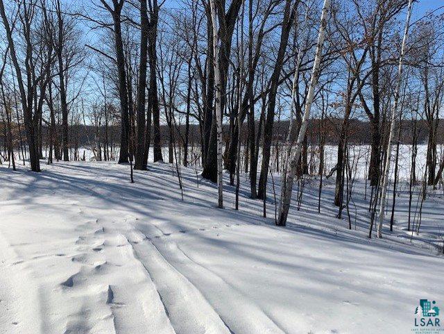 Lot A Lot A Johnson Road Sarona, WI 54870 - Photo 6 of 10 Gallery Image 6