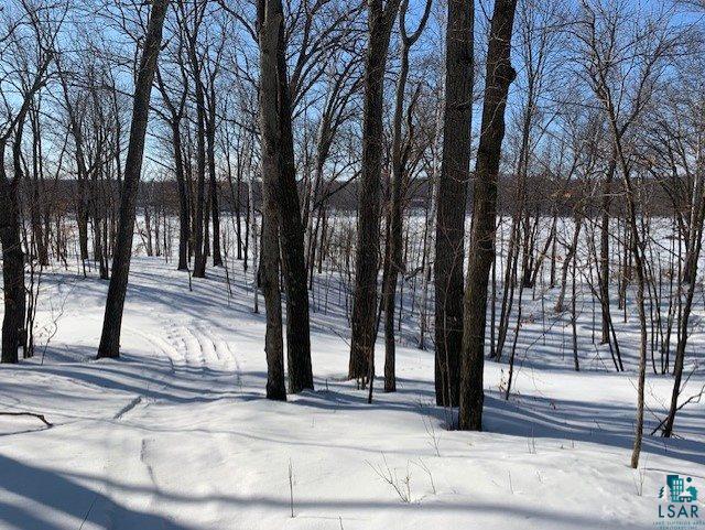 Lot A Lot A Johnson Road Sarona, WI 54870 - Photo 8 of 10 Gallery Image 8