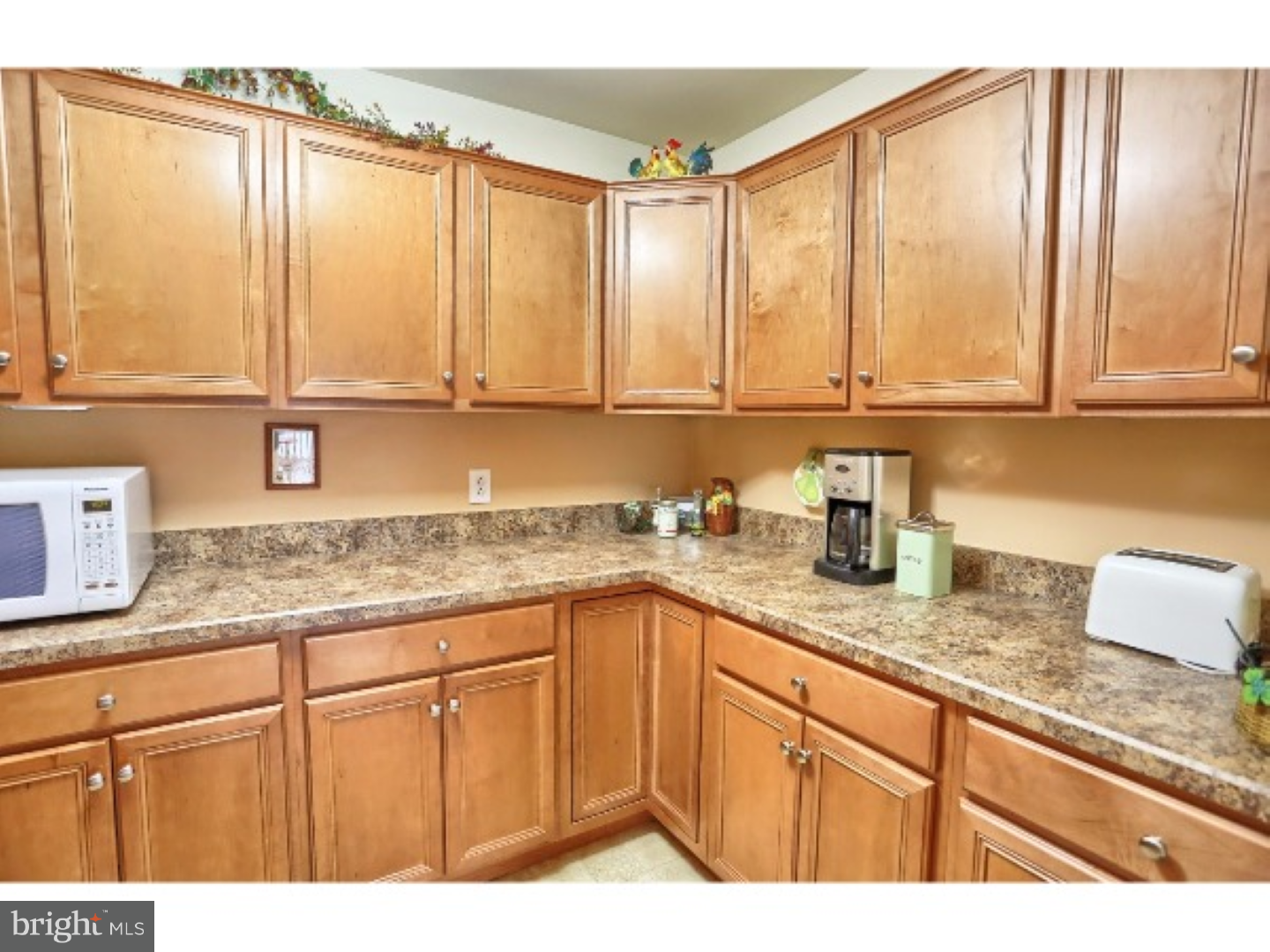 217 North Sandy Lane Sinking Spring, PA 19608 - Photo 11 of 23 Kitchen