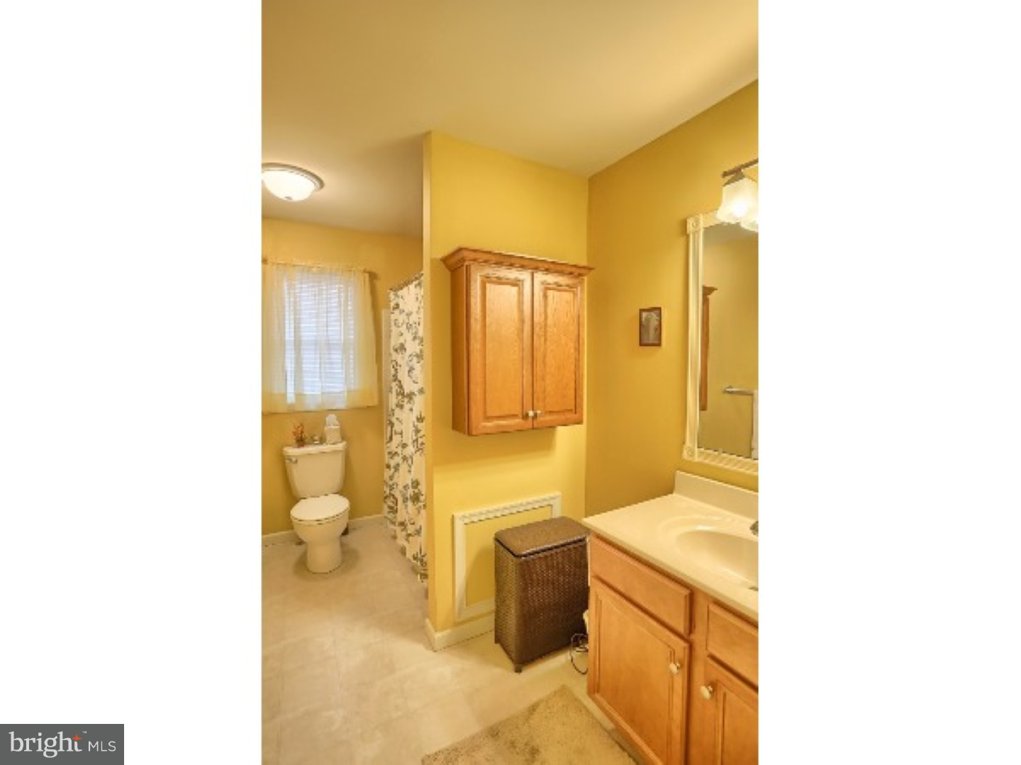 217 North Sandy Lane Sinking Spring, PA 19608 - Photo 14 of 23 Master Bathroom