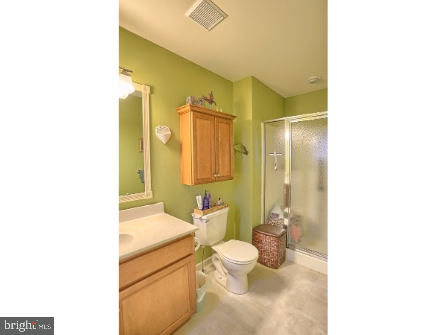 217 North Sandy Lane Sinking Spring, PA 19608 - Photo 17 of 23 Bathroom