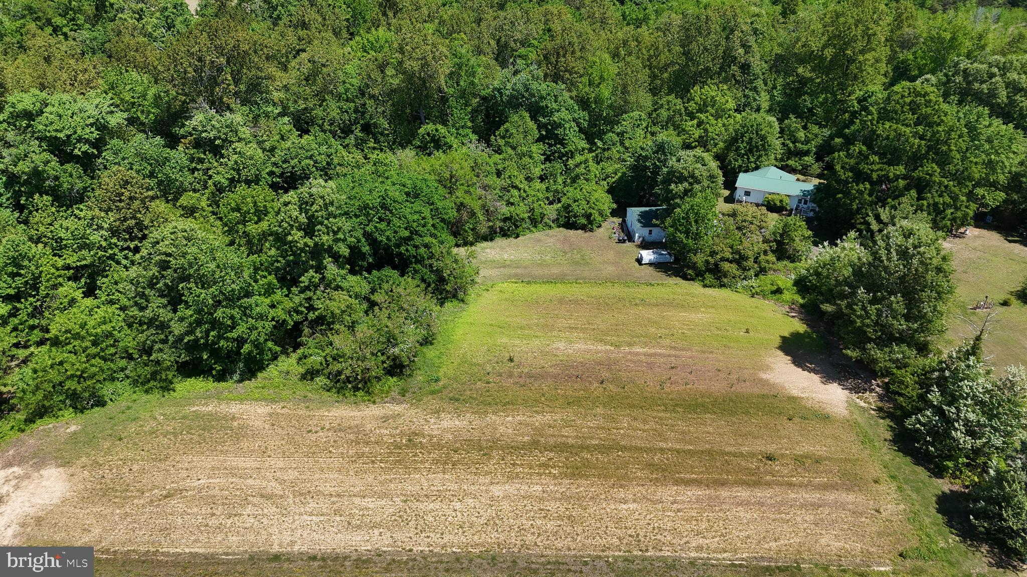 a view of yard with green space