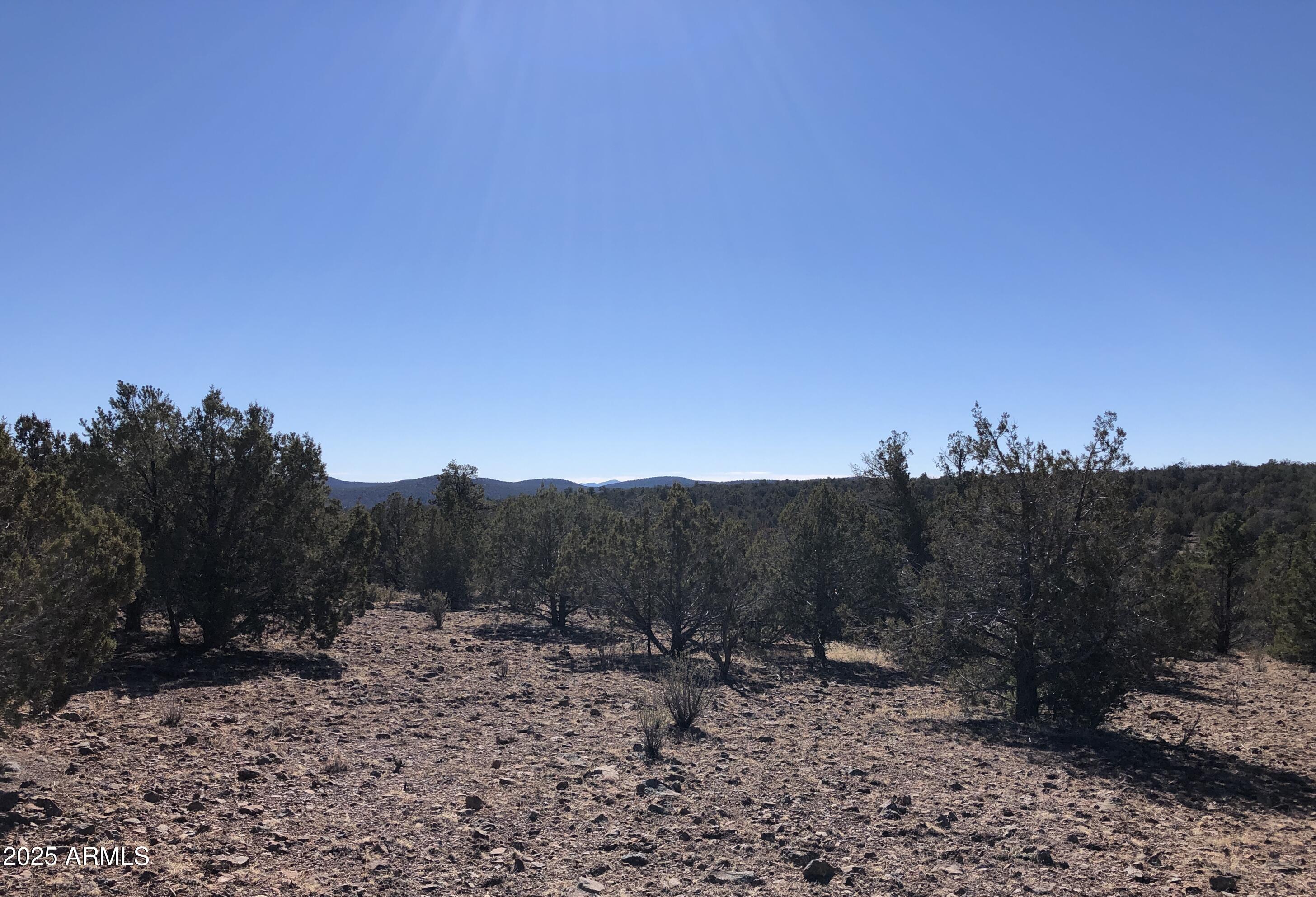 8531 North High Mountain Road Seligman, AZ 86337 - Photo 11 of 19 8531 N High Mountain RD