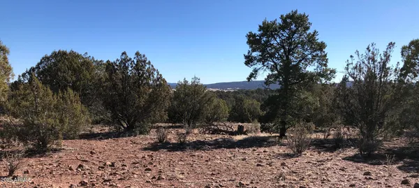 $23,947 | 8531 North High Mountain Road, Seligman, AZ 86337