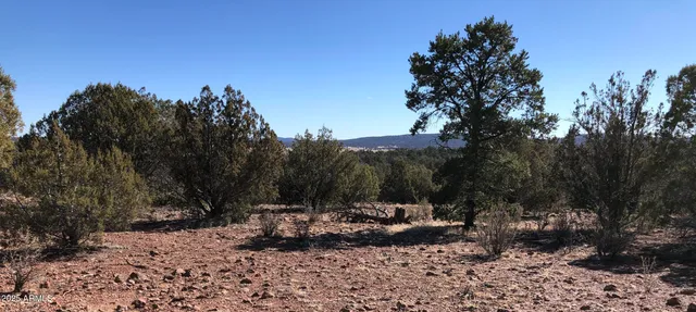 $24,947 | 8531 North High Mountain Road, Seligman, AZ 86337