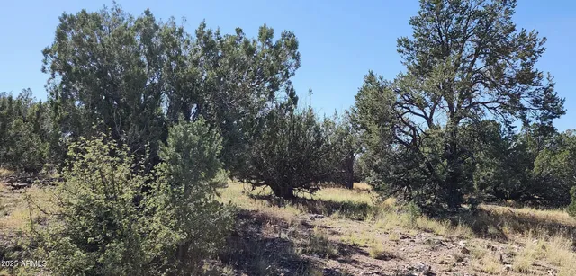 $24,947 | 8531 North High Mountain Road, Seligman, AZ 86337