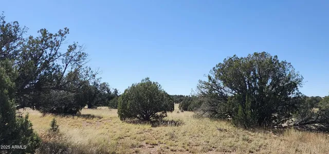 $24,947 | 8531 North High Mountain Road, Seligman, AZ 86337