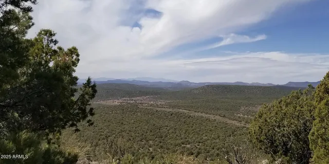 $24,947 | 8531 North High Mountain Road, Seligman, AZ 86337