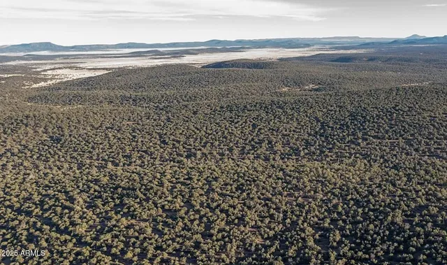 $24,947 | 8531 North High Mountain Road, Seligman, AZ 86337