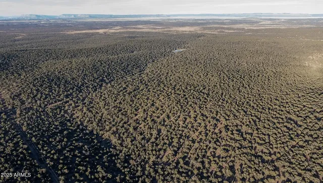 $24,947 | 8531 North High Mountain Road, Seligman, AZ 86337