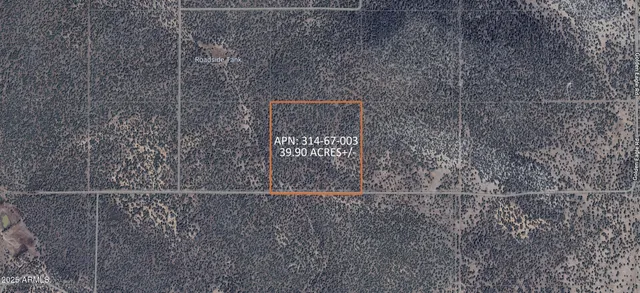 $24,947 | 8531 North High Mountain Road, Seligman, AZ 86337