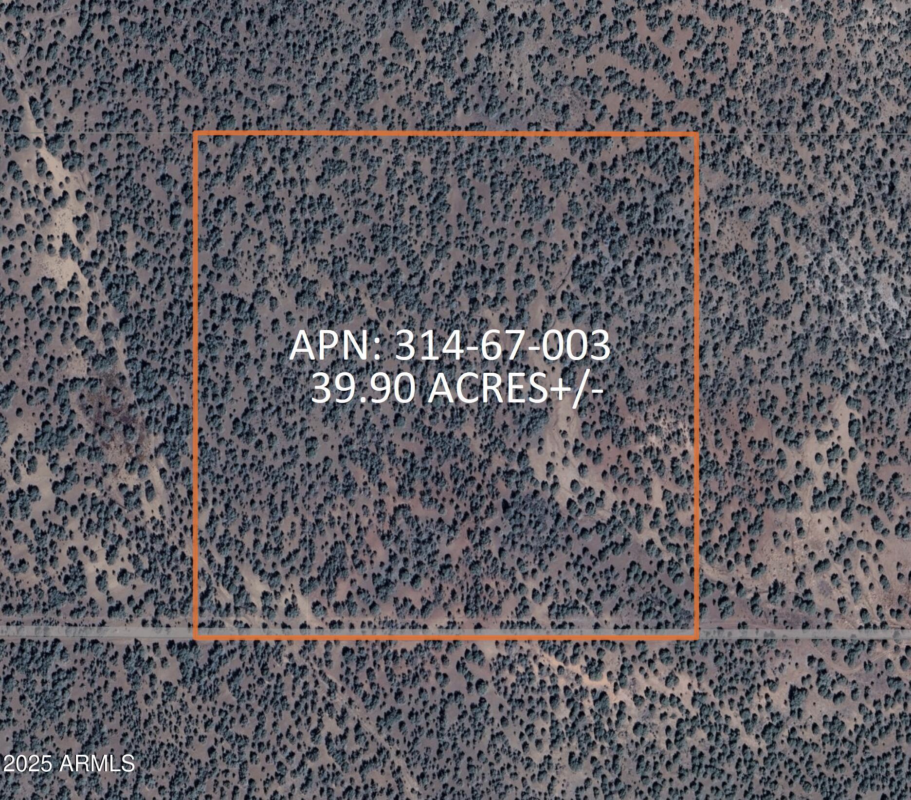 8531 North High Mountain Road Seligman, AZ 86337 - Photo 5 of 19 8531 N High Mountain RD