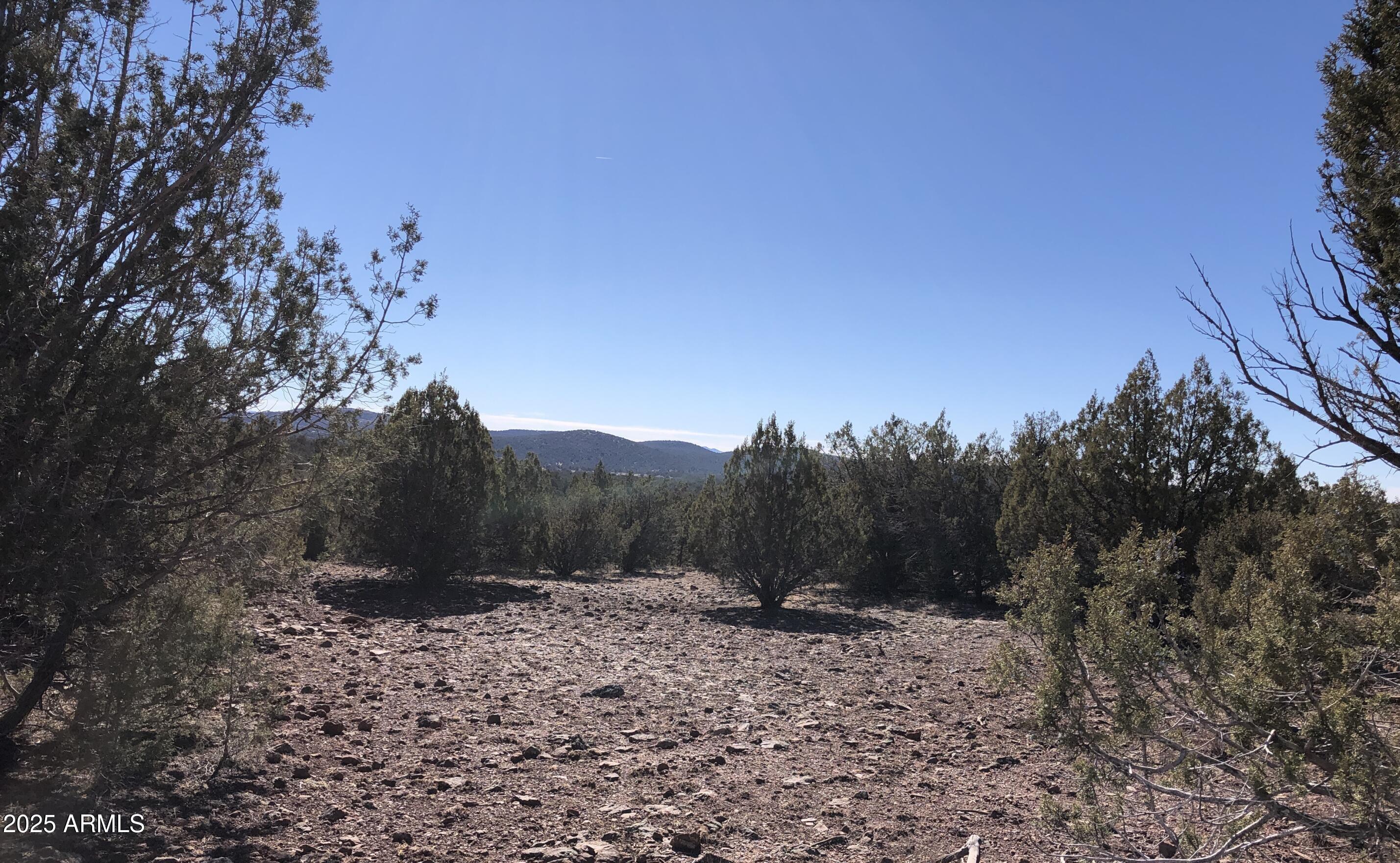 8531 North High Mountain Road Seligman, AZ 86337 - Photo 8 of 19 8531 N High Mountain RD