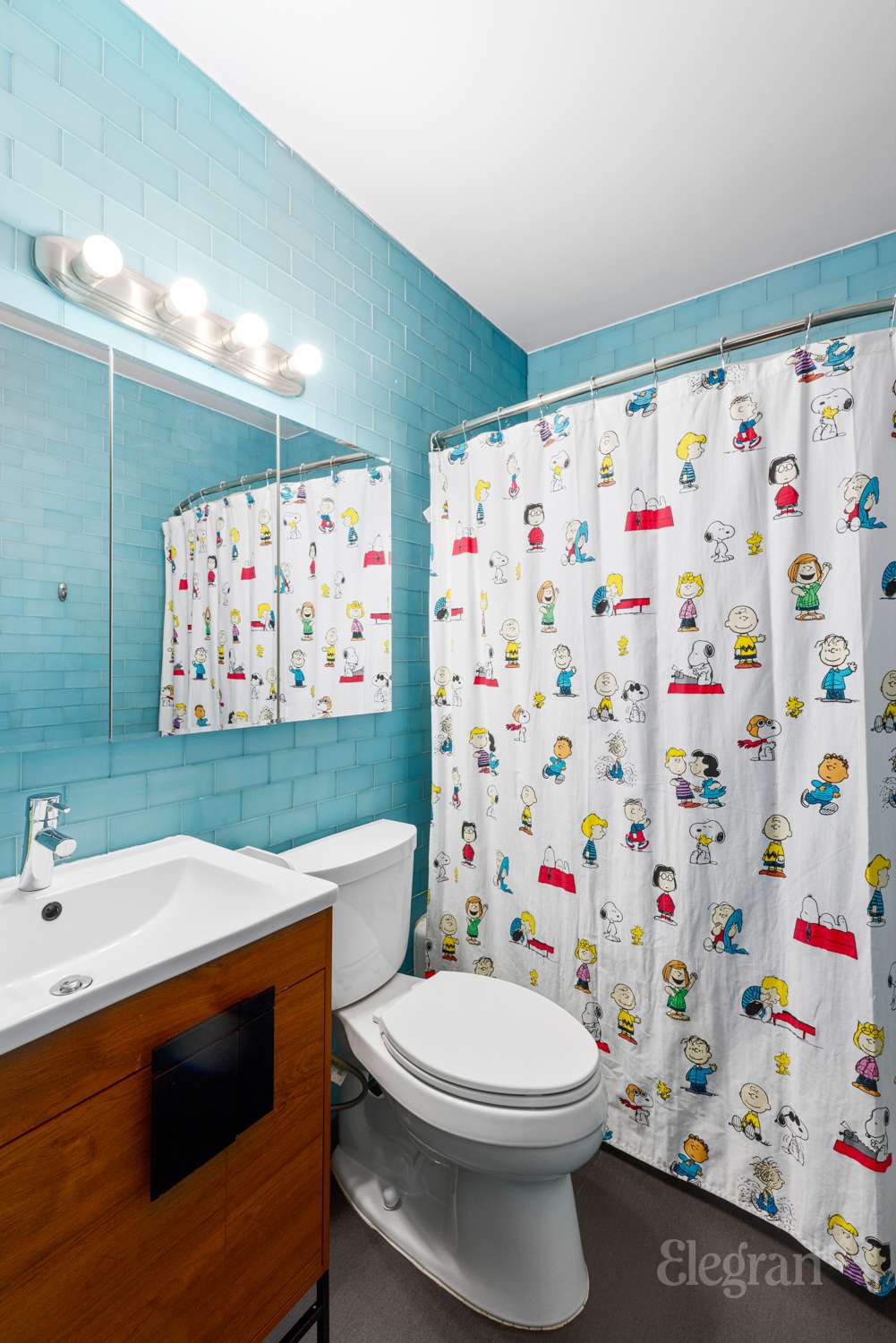300 Albany Street, Unit 7I Manhattan, NY 10280 - Photo 8 of 9 a bathroom with a sink a toilet and shower curtain