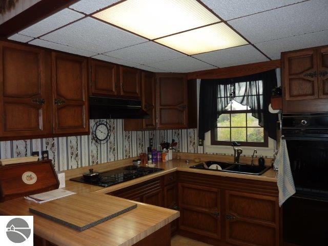 1637 South Geneva Road Shepherd, MI 48883 - Photo 14 of 43 1777719-13.JPG
