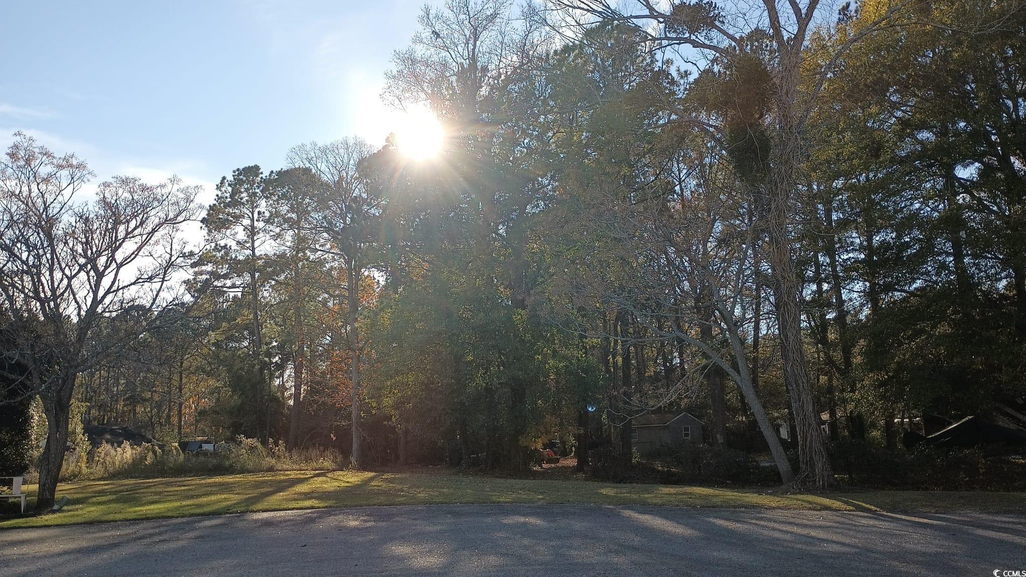 1310 Hidden Harbor Road Myrtle Beach, SC 29577 - Photo 9 of 25