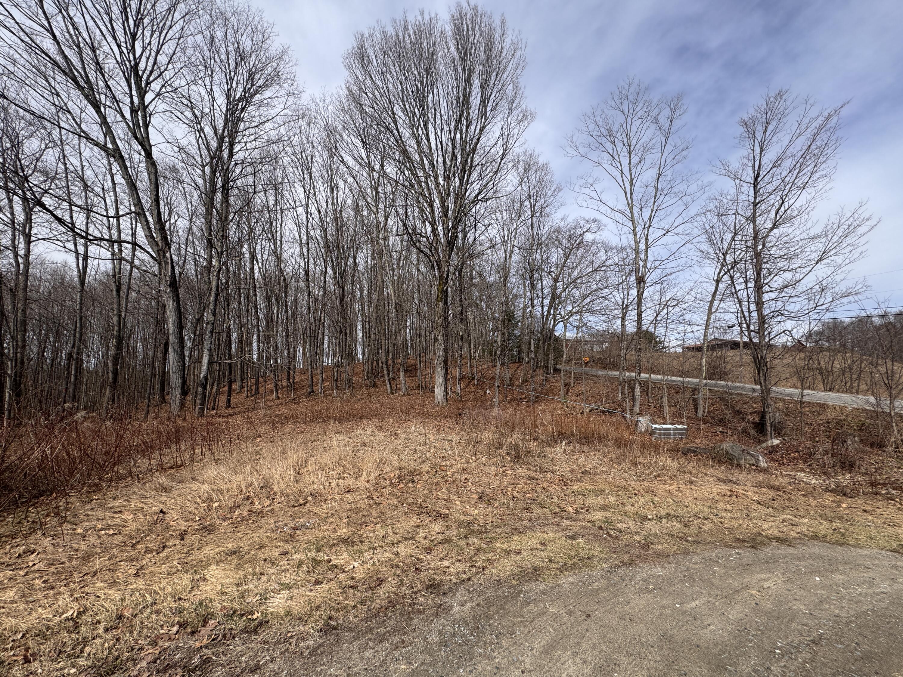 39 Haines Corner Road Livermore Falls, ME 04254 - Photo 4 of 59