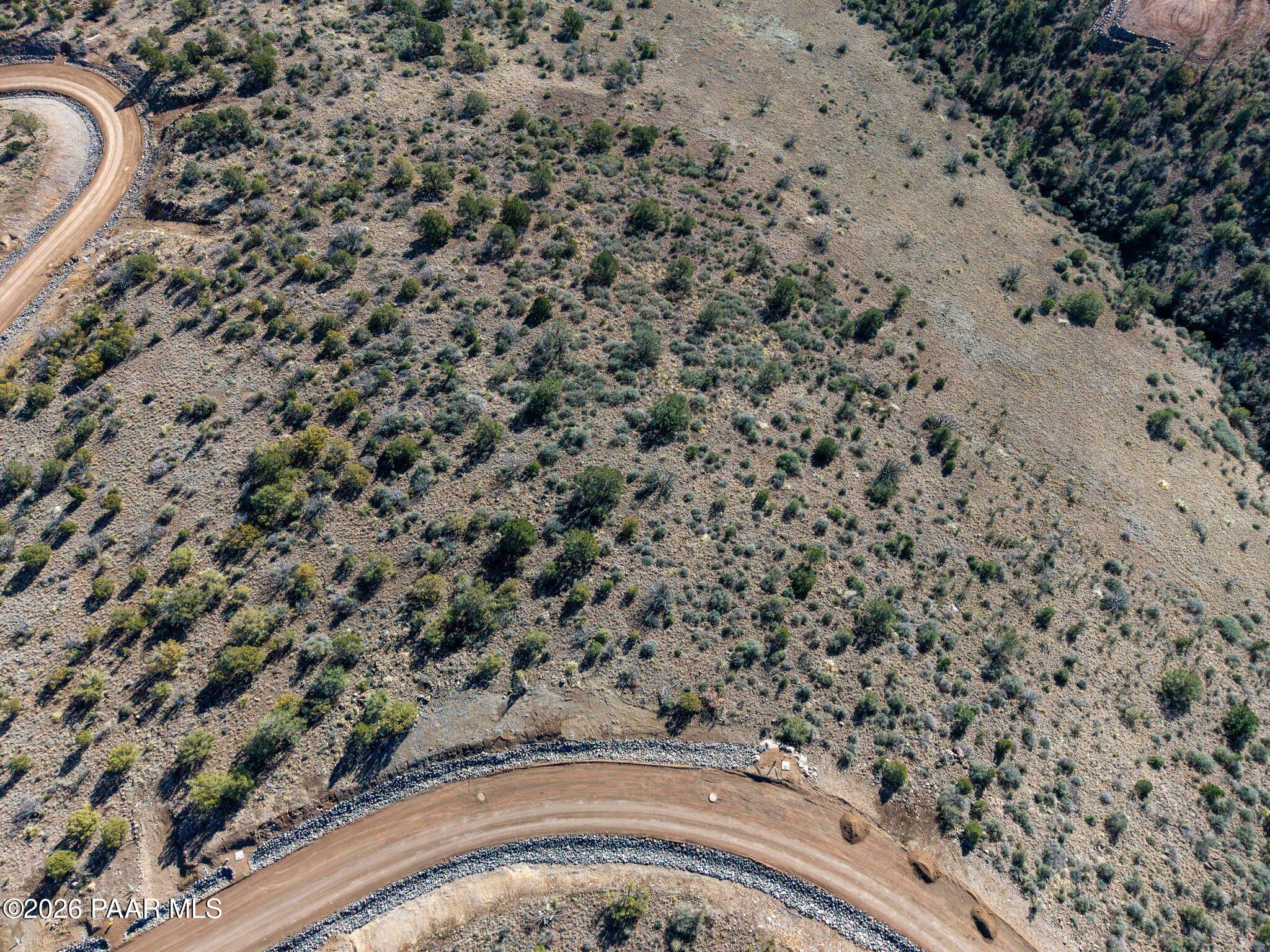 2273 West Ridge View Trail Prescott, AZ 86305 - Photo 10 of 13 a view of a dry yard with a dry tree