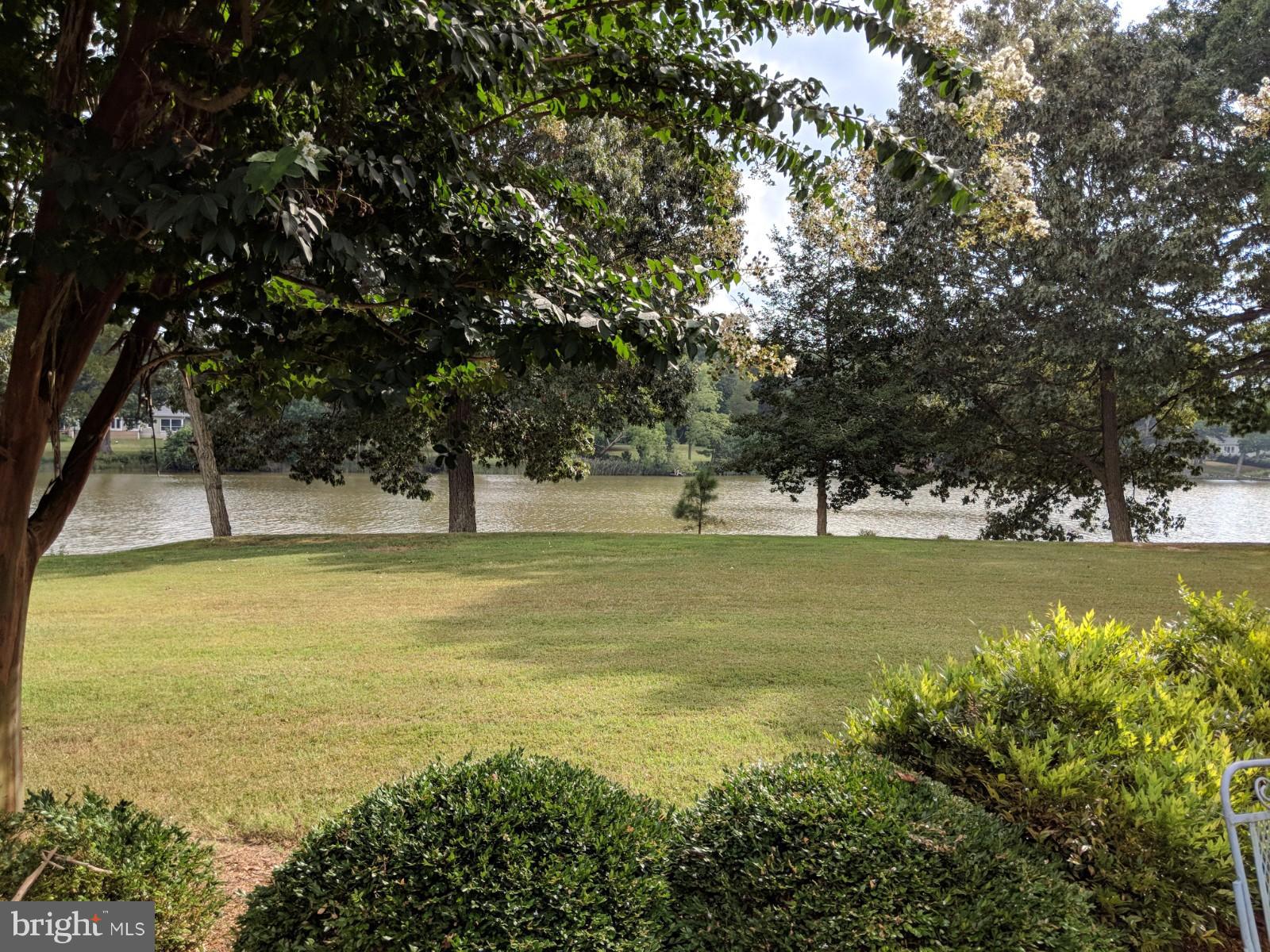Water view