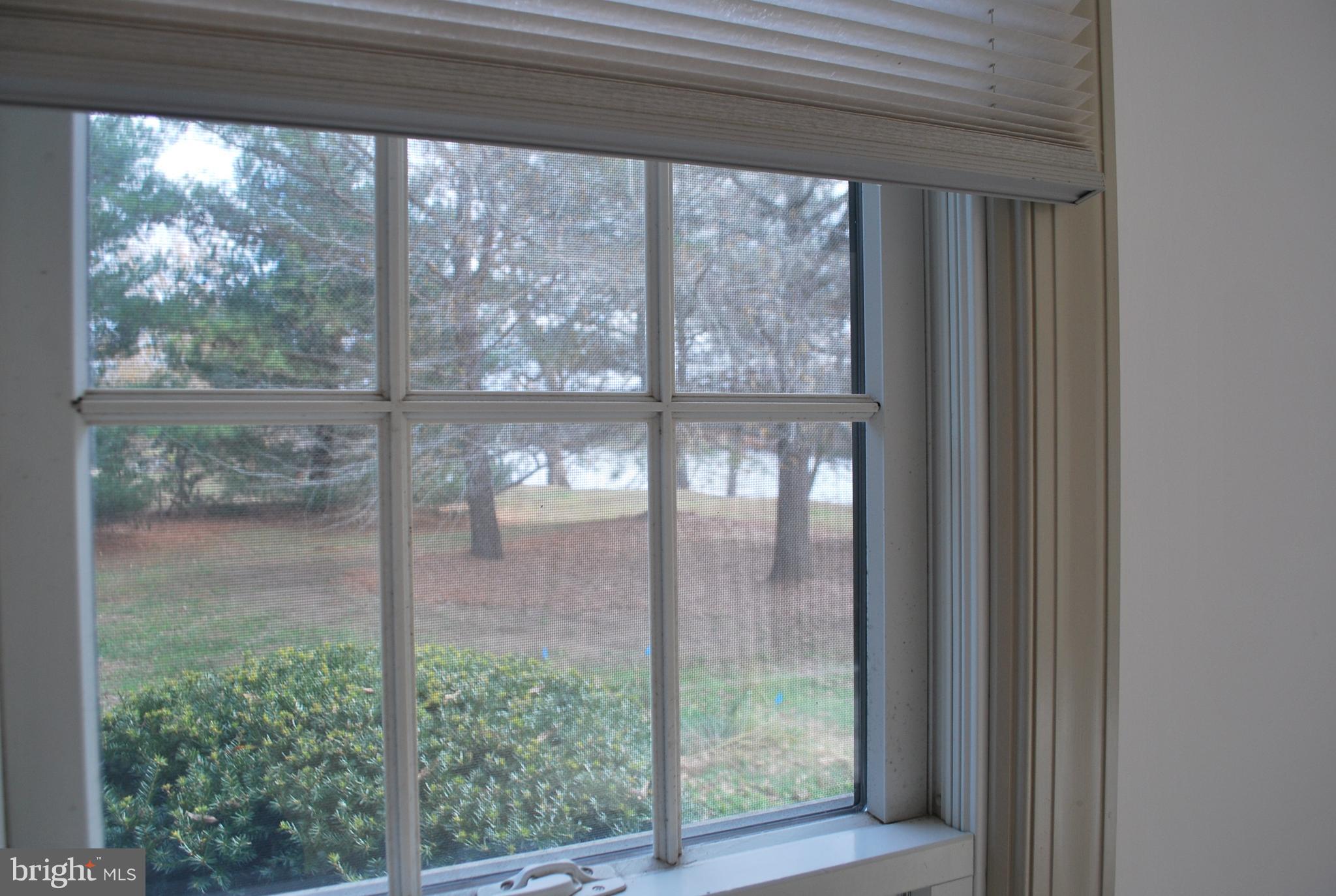 6765 Cookes Hope Road Easton, MD 21601 - Photo 34 of 46 Side window in Master Bedroom