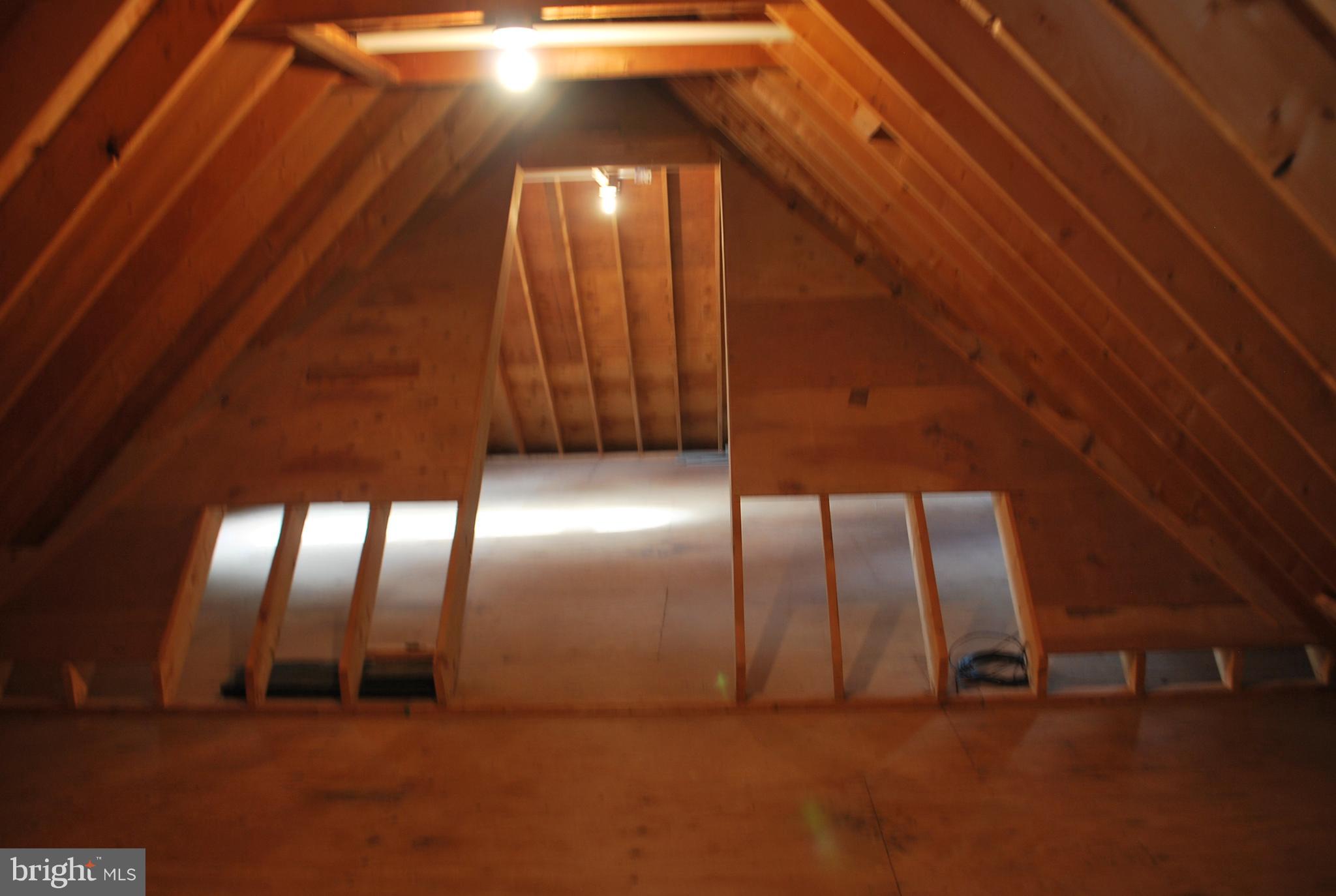 6765 Cookes Hope Road Easton, MD 21601 - Photo 45 of 46 storage off 3rd bedroom & above garage
