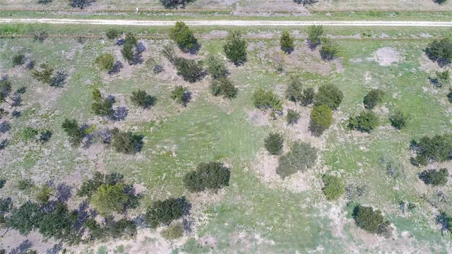 a view of a tree with a yard