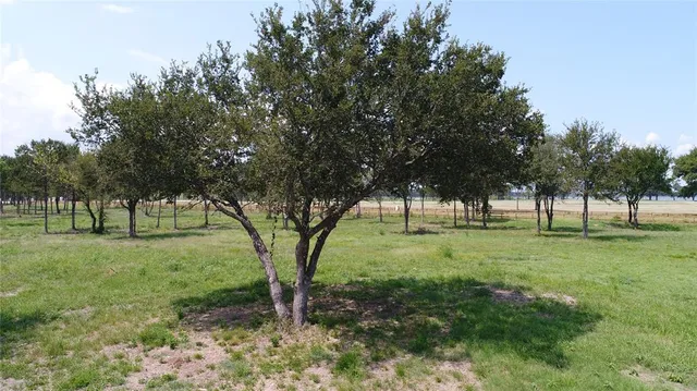 a view of a park with trees