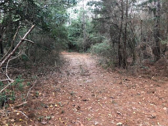 25-ac Gantt Road Andalusia, AL 36421 - Photo 3 of 36 Gallery Image 3