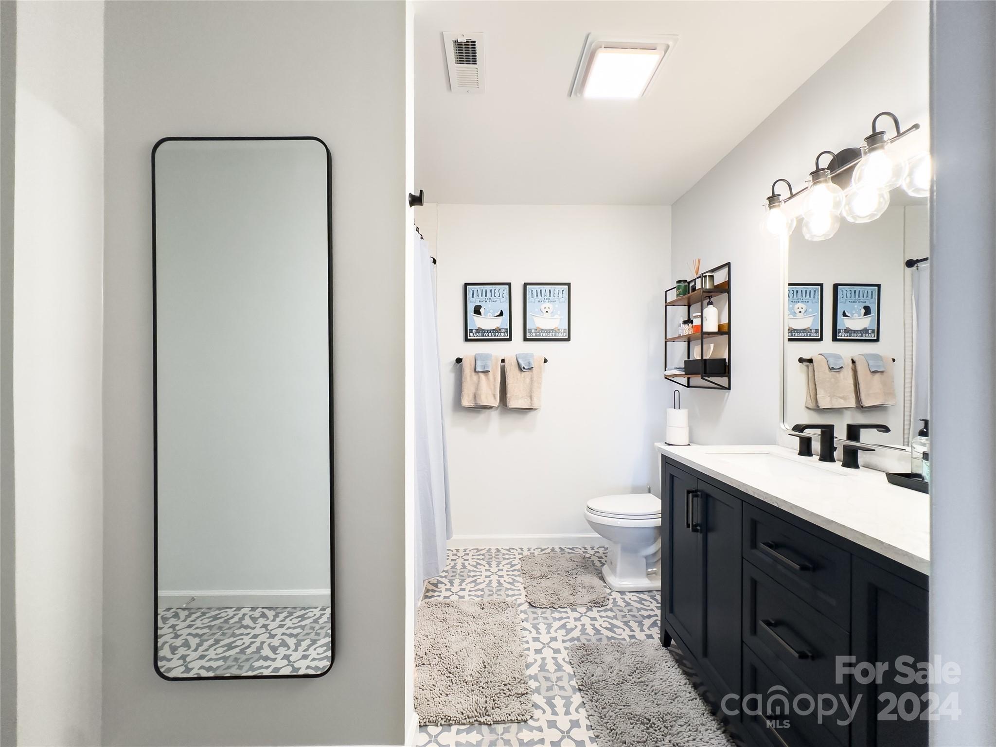 907 Victory Trail Morganton, NC 28655 - Photo 21 of 32 a bathroom with a sink a toilet and mirror