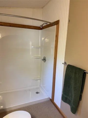 a bathroom with a shower and a toilet