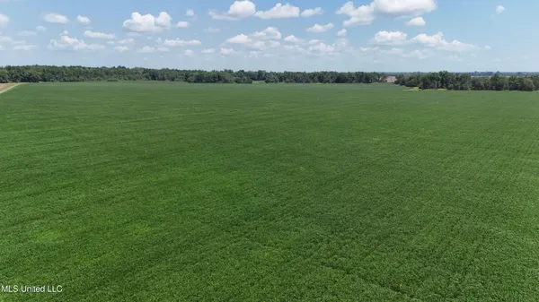 $660,000 | 9355 Hwy 65 Waterproof La, Waterproof, LA 71375