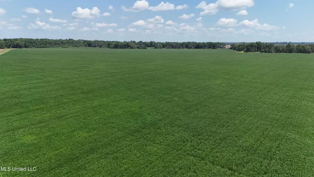 $660,000 | 9355 Hwy 65 Waterproof La, Waterproof, LA 71375