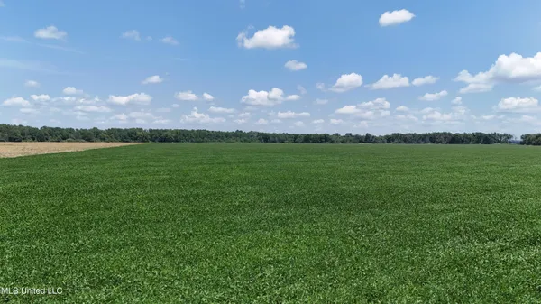 $660,000 | 9355 Hwy 65 Waterproof La, Waterproof, LA 71375