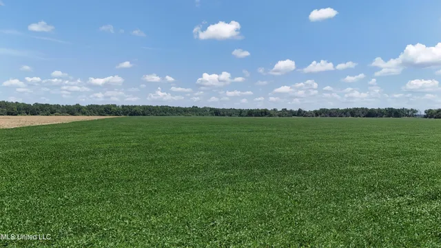 $660,000 | 9355 Hwy 65 Waterproof La, Waterproof, LA 71375