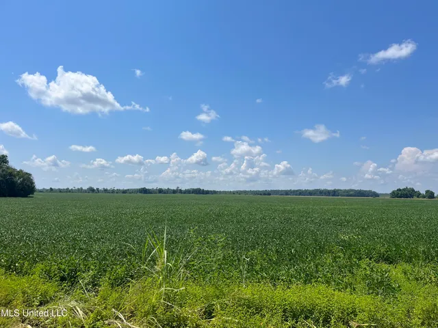 $660,000 | 9355 Hwy 65 Waterproof La, Waterproof, LA 71375